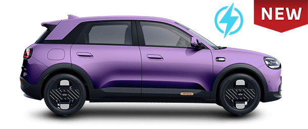 CHERY Q