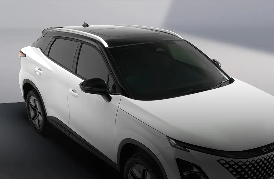 New Roof Rack